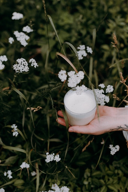 Breuvages glacés médicinaux : 3 recettes à base de plantes