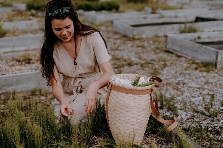 Cultiver ses plantes pour les soins de la peau