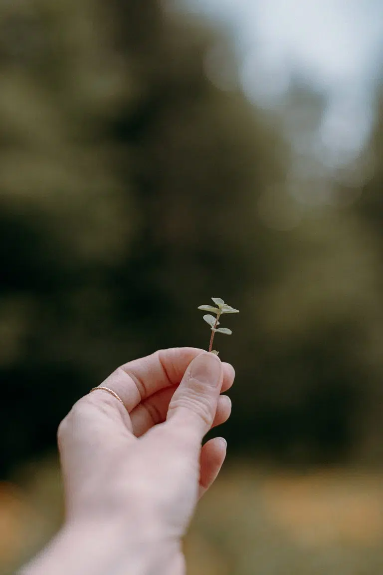 Sérum pour ongles et cuticules heureux