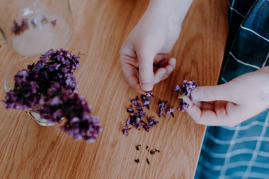 des lilas dans la cuisine