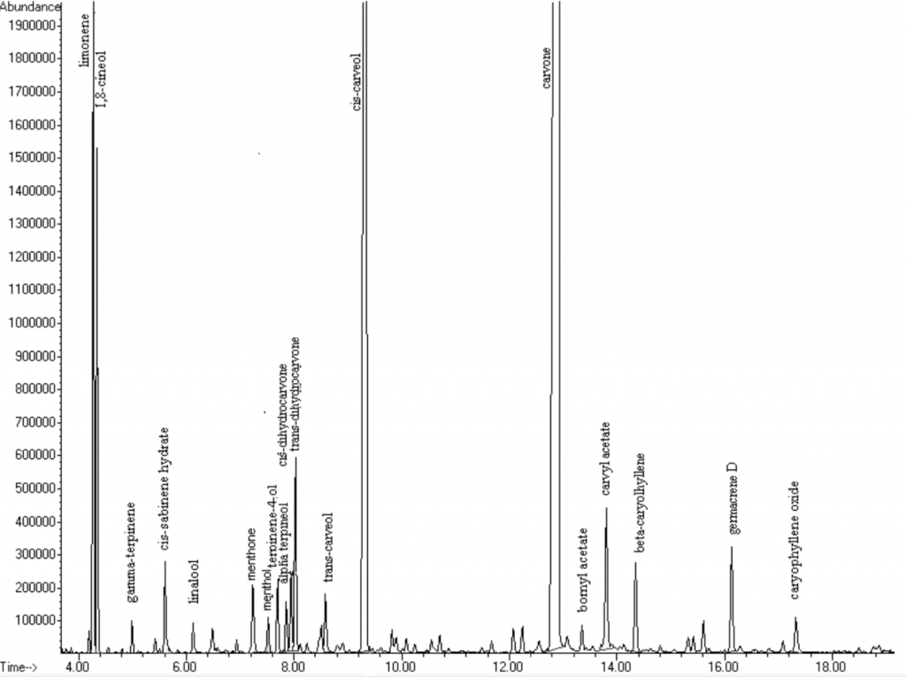 Chromatographie de la menthe verte (Mentha spicata)