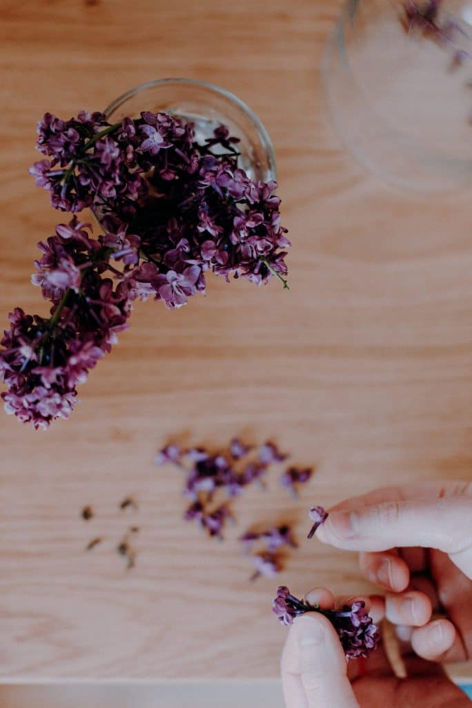 3 recettes pour manger ses lilas