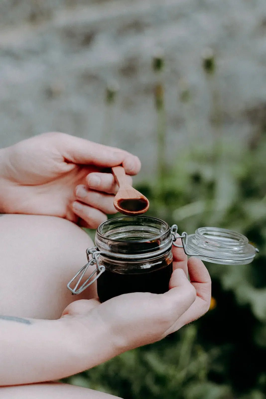 Cramaillote ou miel de pissenlit - Les Mauvaises Herbes