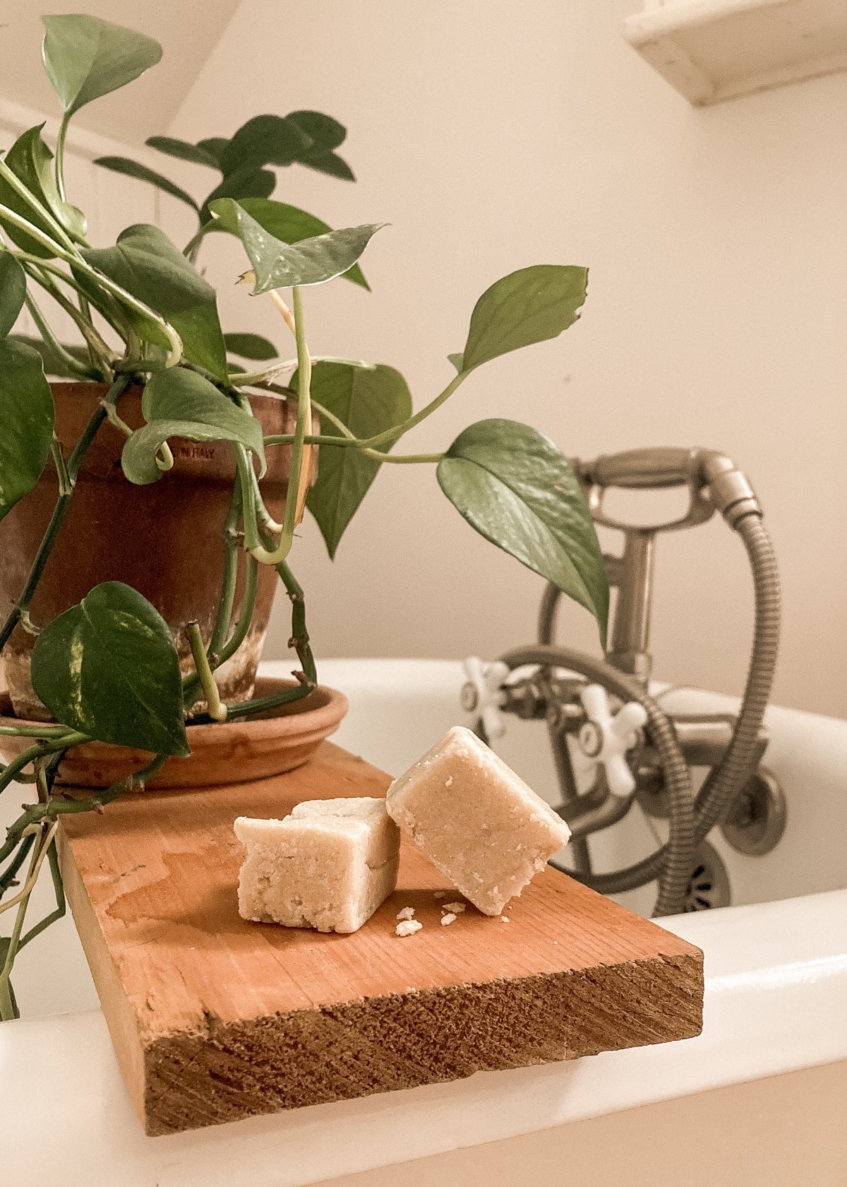 Cubes exfoliants coco-citron - Les Mauvaises Herbes