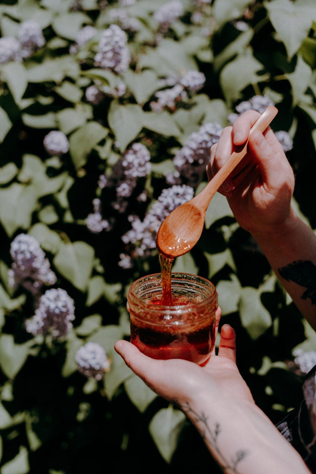 « Miel » végétal aux fleurs de lilas - Les Mauvaises Herbes