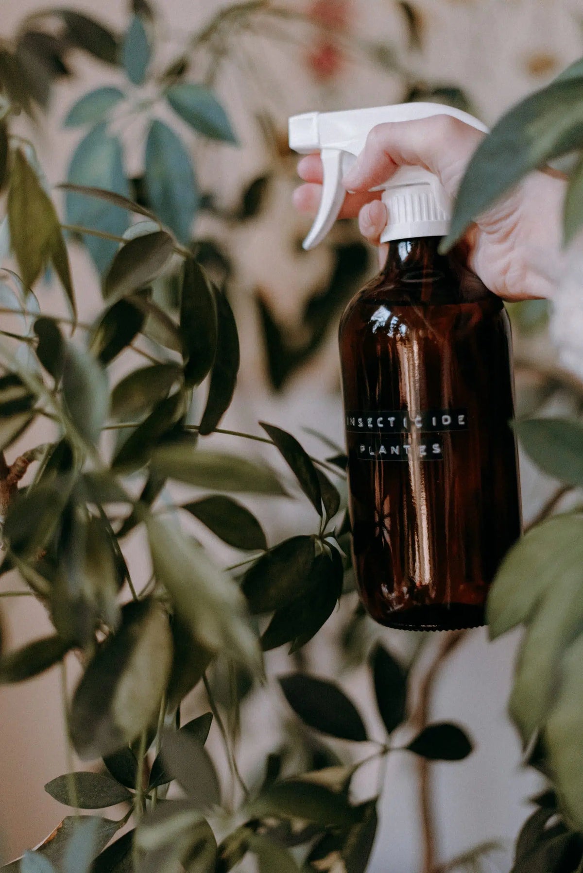 Insecticide « natural born killer » pour plantes d'intérieur