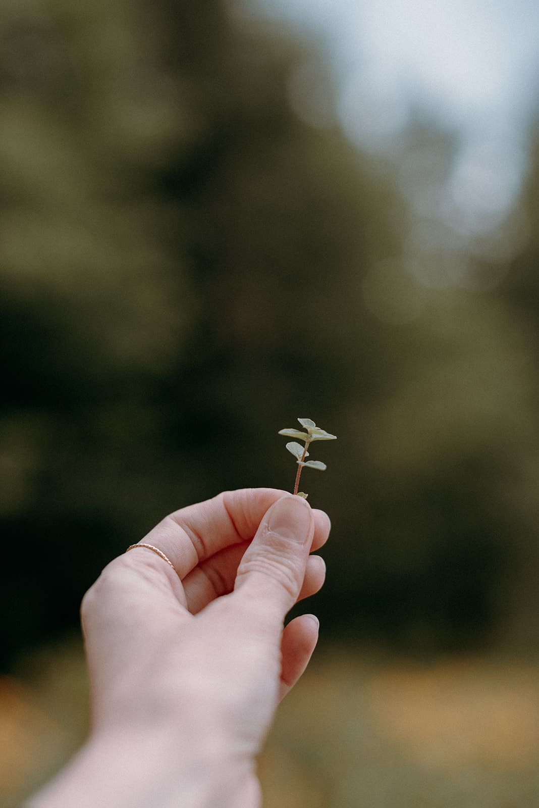 Sérum pour ongles et cuticules heureux