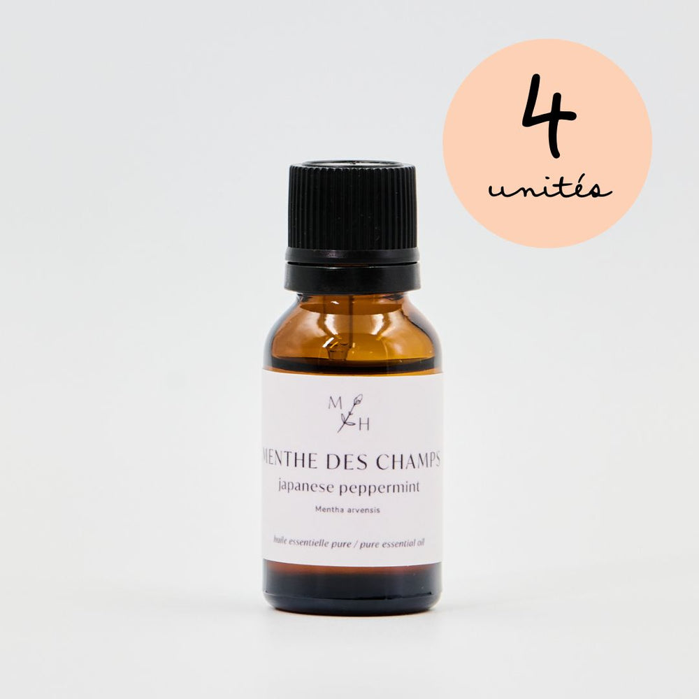 Menthe des champs - WHOLESALE - Les Mauvaises Herbes
