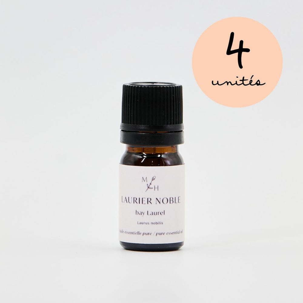 Laurier noble - WHOLESALE - Les Mauvaises Herbes