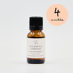 Eucalyptus citronné - WHOLESALE - Les Mauvaises Herbes