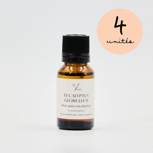 Eucalyptus globuleux - WHOLESALE - Les Mauvaises Herbes