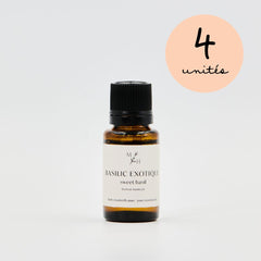 Basilic exotique (ct. estragol) - WHOLESALE - Les Mauvaises Herbes