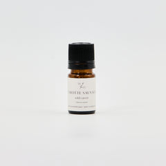 Carotte sauvage - WHOLESALE - Les Mauvaises Herbes