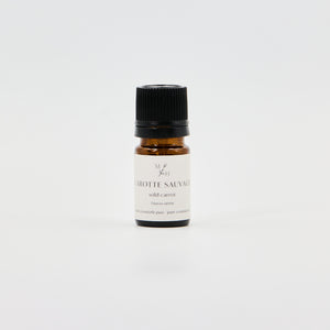 Carotte sauvage - WHOLESALE - Les Mauvaises Herbes