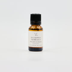 Eucalyptus globuleux - WHOLESALE - Les Mauvaises Herbes