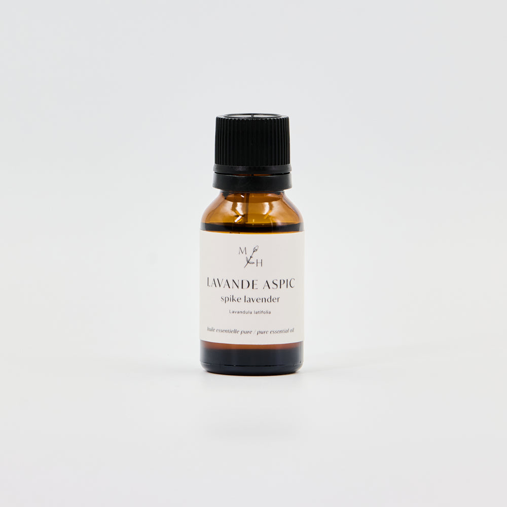 Lavande aspic bio - WHOLESALE - Les Mauvaises Herbes
