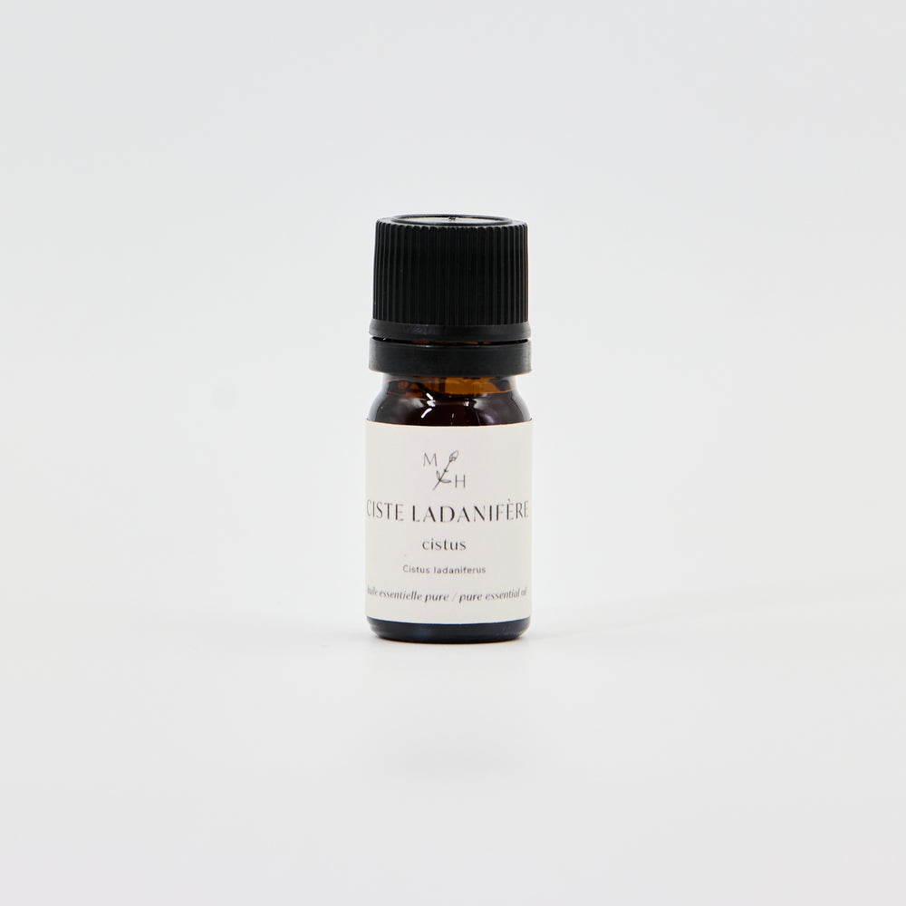 Ciste ladanifère bio - WHOLESALE - Les Mauvaises Herbes