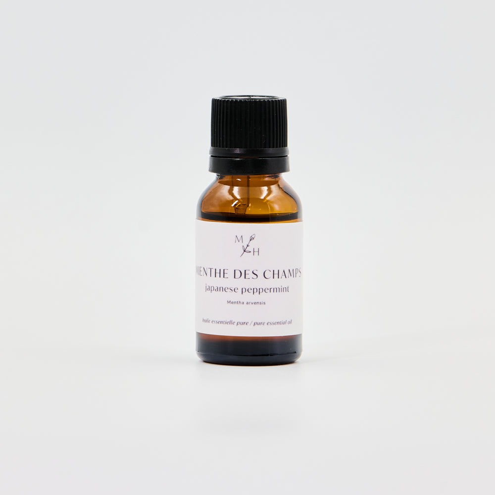 Menthe des champs - WHOLESALE - Les Mauvaises Herbes