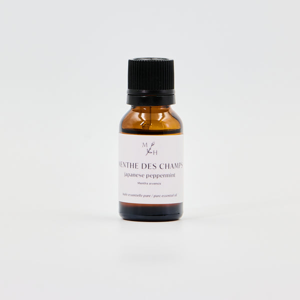 Menthe des champs - WHOLESALE - Les Mauvaises Herbes