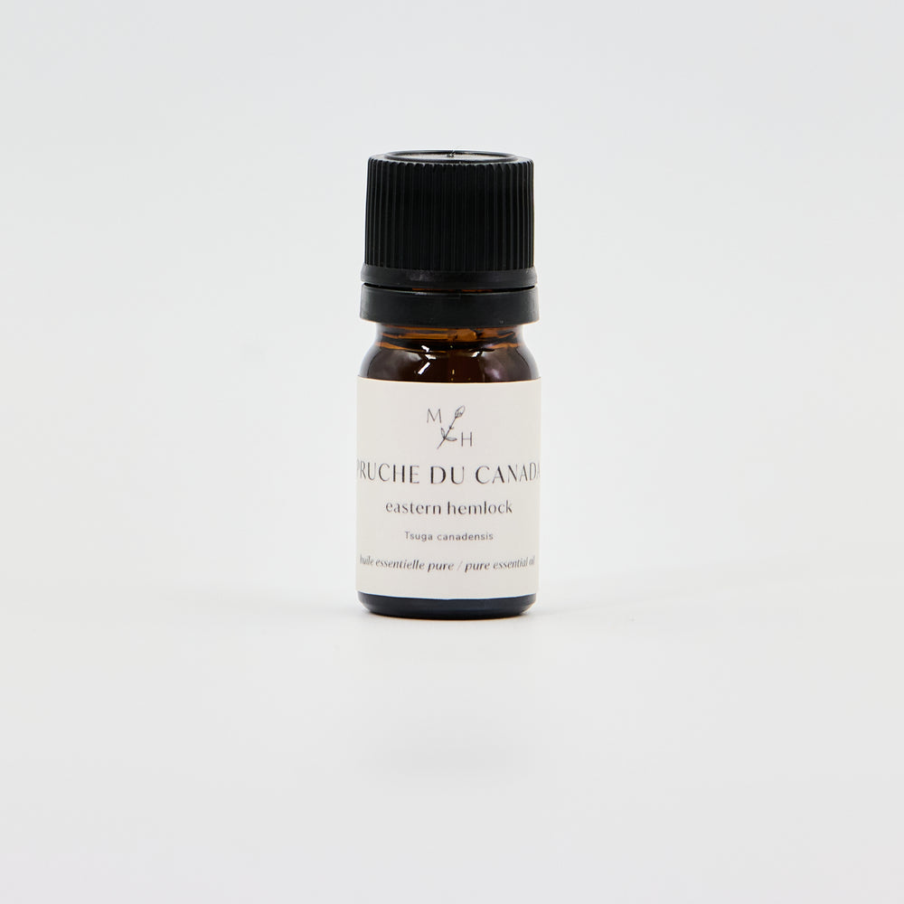 Pruche du Canada - WHOLESALE - Les Mauvaises Herbes
