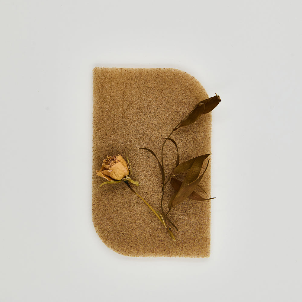 Éponge à récurer recyclable en noix de Grenoble - Les Mauvaises Herbes