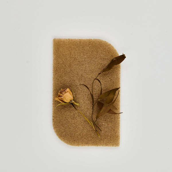 Éponge à récurer recyclable en noix de Grenoble - Les Mauvaises Herbes