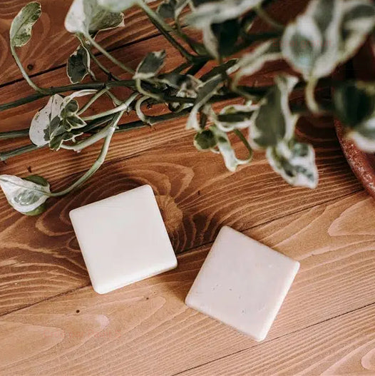 Fabriquer son shampoing et son revitalisant en barre | Atelier en présence