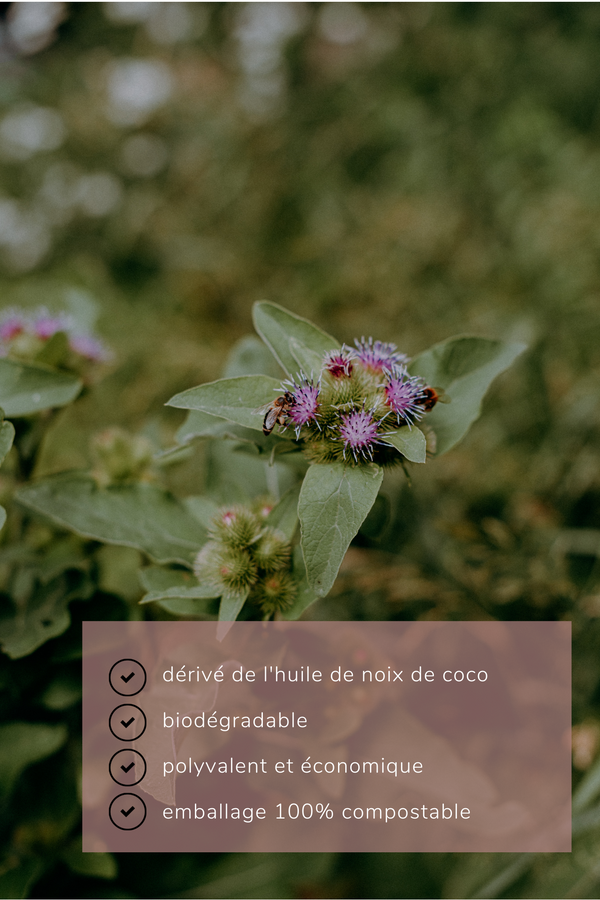 Sodium cocoyl isethionate (SCI) - Les Mauvaises Herbes